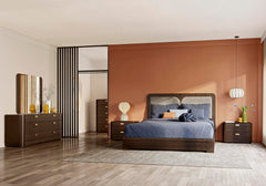 Appia [NEW]